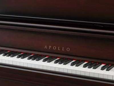 TẠI SAO CHỌN TOYO PIANO LÀ NƠI BẮT ĐẦU HỌC ÂM NHẠC?
